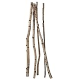 Deko Birkenstämme 170 cm, 5 Stück Natur Deko-Holz Baumstämme Birken Naturdekorationen Herbstdek