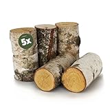 Birkenstamm Bastelholz Ø 5 x 10 cm als Holz-Deko und Bastelmaterial - 5 Stk. Birke Naturmaterial Holz-Stämmchen als große Holzstäbe - Stehende Birken-Stämmchen für Wohnung Garten B