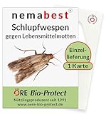 nemabest® Schlupfwespen gegen Lebensmittelmotten - 1 Karte à 1 Lieferung zur effektiven Bekämpfung - biologische Alternative zur M