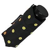 Ultra Mini Regenschirm Damen Taschenschirm Rainbow D