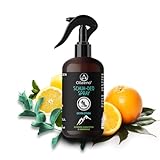 OLLEENO® Schuhdeo Spray gegen Gerüch (250 ML) – Natürliches Schuhspray mit extra starker Wirkung Lang anhaltende Frische mit Zitronen-Eukalyptus & Süßorang