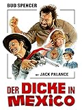Der Dicke in Mexik
