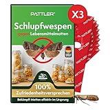 PATTLER® Schlupfwespen gegen Lebensmittelmotten - 3 Karten à 4 Lieferungen - Effektiv Motten bekämpfen - Alternative zur Mottenfalle, Mottenspray, Pheromonfalle (3 Karten à 4 Lieferungen)