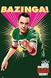 The Big Bang Theory Sheldon Cooper Wandbild, A4